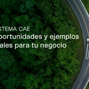 Camión circulando por carretera rodeada de naturaleza, representando las oportunidades del sistema CAE para generar ahorro energético, rentabilidad y sostenibilidad.