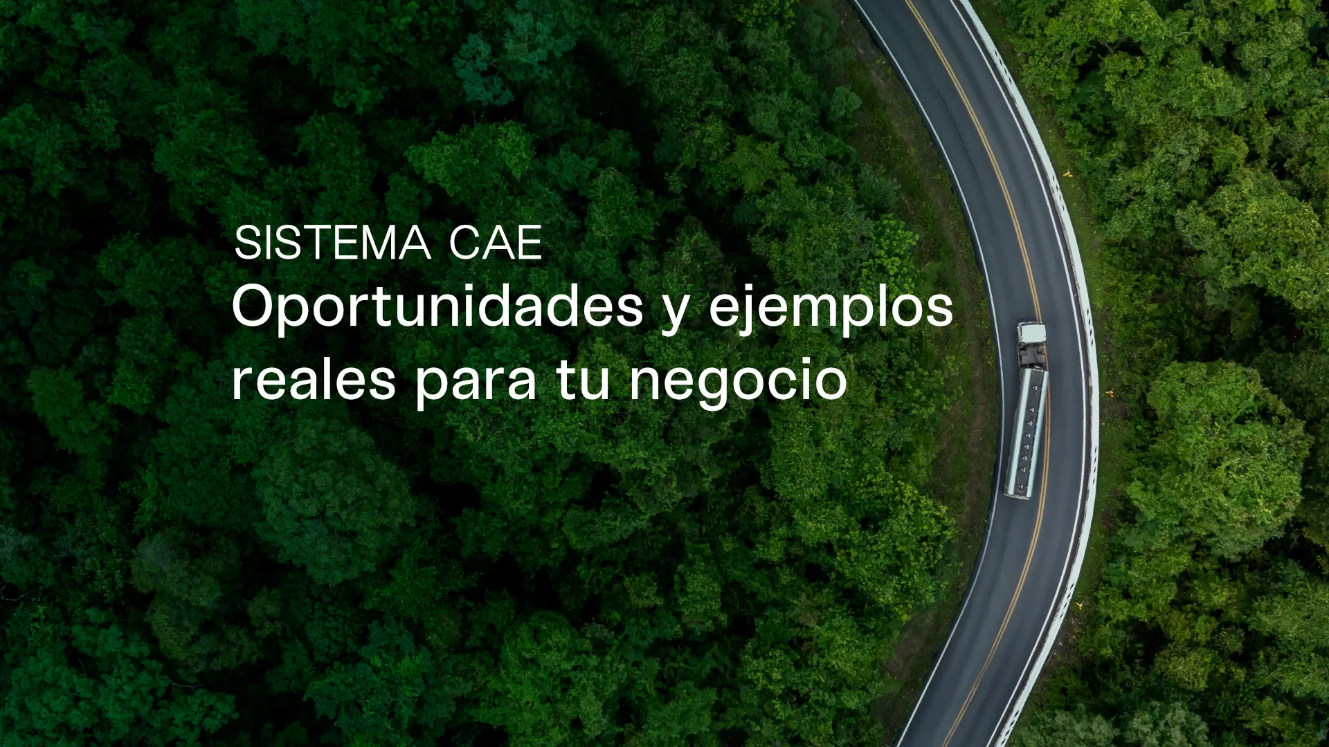 Camión circulando por carretera rodeada de naturaleza, representando las oportunidades del sistema CAE para generar ahorro energético, rentabilidad y sostenibilidad.