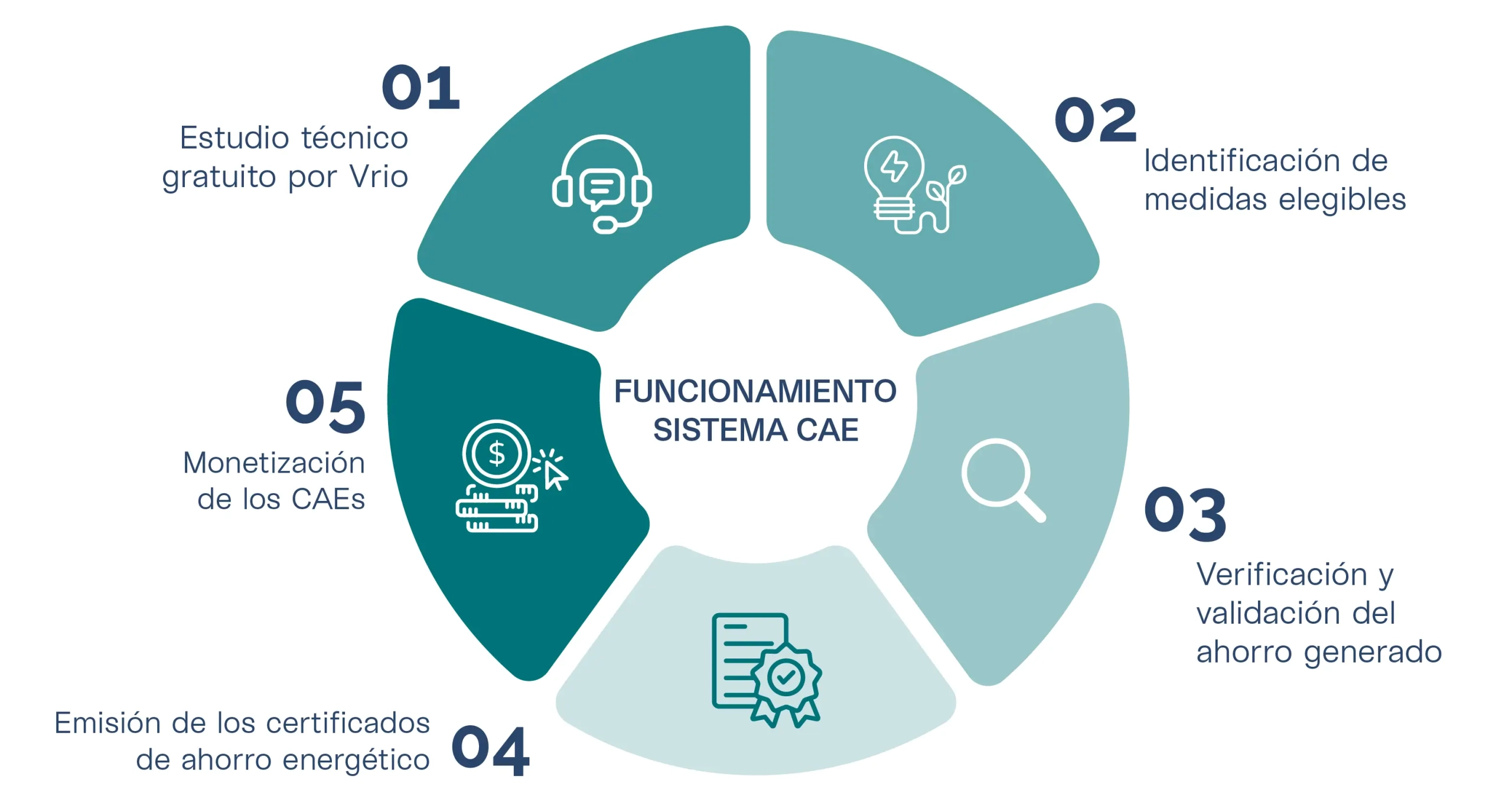 Funcionamiento del sistema CAE
