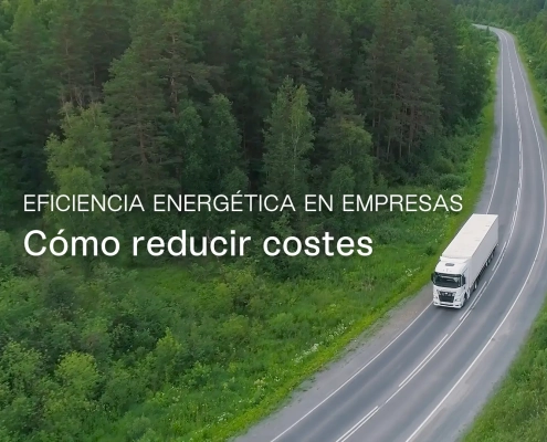 Camión en carretera entre un bosque con el texto «Eficiencia energética en empresas: cómo reducir costes»